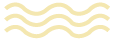Lines Icon